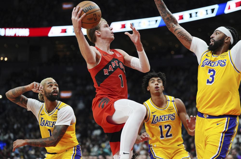 界的礼物 界的礼物