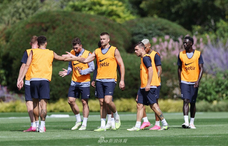 体育运动的 体育运动的